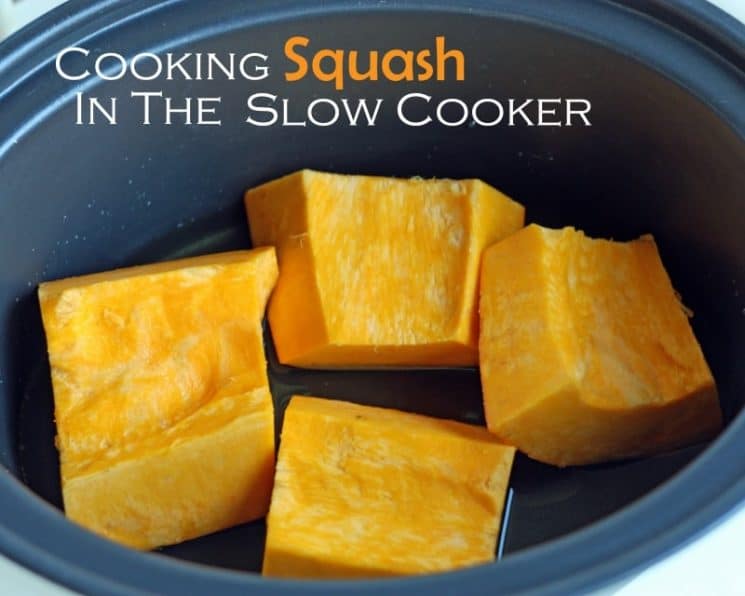 Cooking Squash in the Slow Cooker. Did you know cooking squash could be so simple?